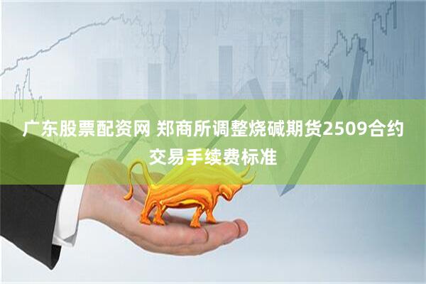 广东股票配资网 郑商所调整烧碱期货2509合约交易手续费标准