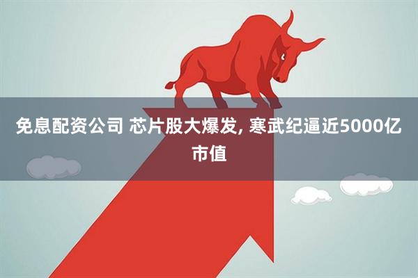 免息配资公司 芯片股大爆发, 寒武纪逼近5000亿市值
